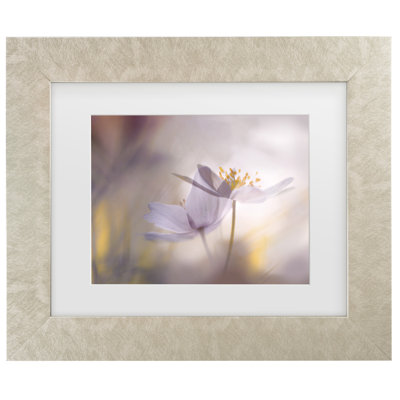 Bolog Ylva Sjogren Violet Tones Matted Framed Art