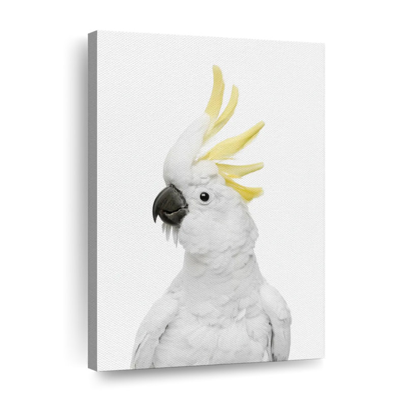 Cool cacatoès sur toile, H 48 po x l 32 po x P 1,25 po