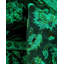 Fine Vibrance One-of-a-Kind 3' 2" X 5' 2" Hand Knotted Area Rug