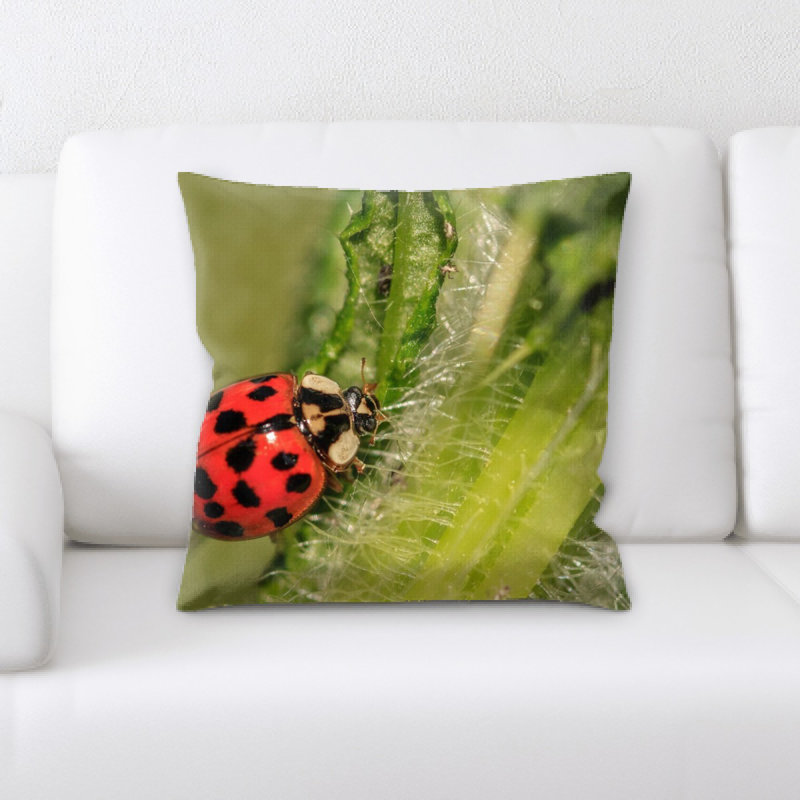 Coussin coccinelle