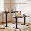 160CM x 80CM Electric Height Adjustable Standing Desk-453364574-463305800