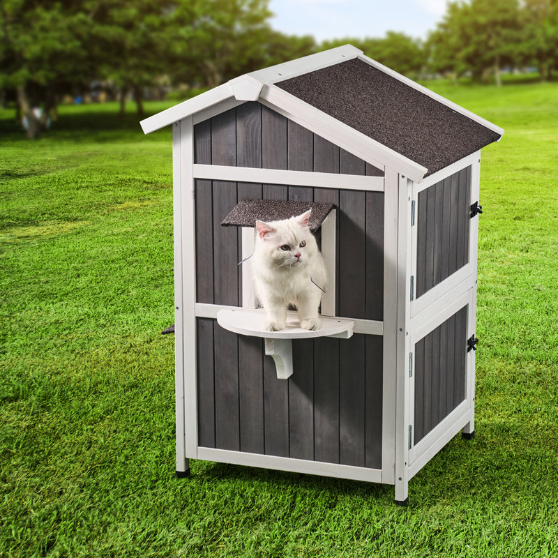Genut Cat House