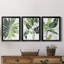 «Expressive Palm I», ensemble de 3 impressions sur toile encadrées-755538715-755538917