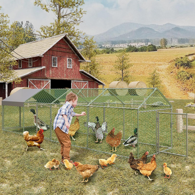 Chicken Run, 100cm H x 100cm W x 400cm D