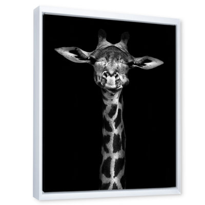 Portrait d'une girafe en noir et blanc - Photographie sur toile