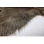 Waite Novelty 100 cm x 125 cm Animal Print Area Rug