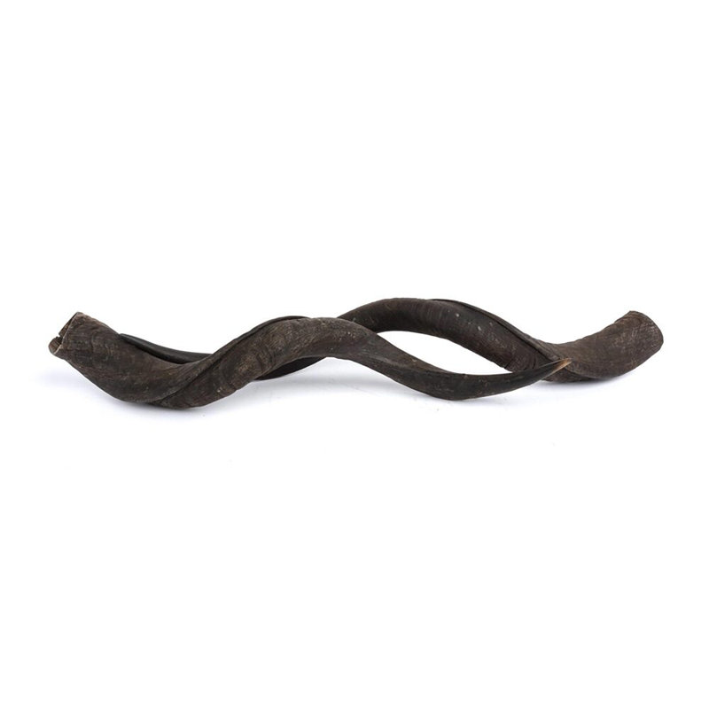 Horn - Natural Finish