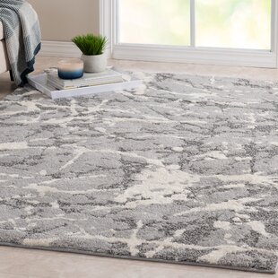 https://assets.wfcdn.com/im/14264334/resize-h310-w310%5Ecompr-r85/7285/72854629/Wabasha+Performance+Gray+Rug.jpg