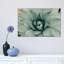 Mint Succulent I by Chelsea Victoria - Print-561792310-614520224