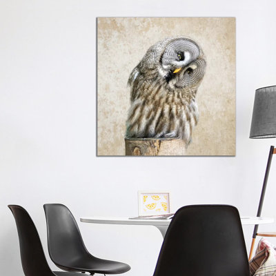 Barred Owl - Wrapped Canvas Print