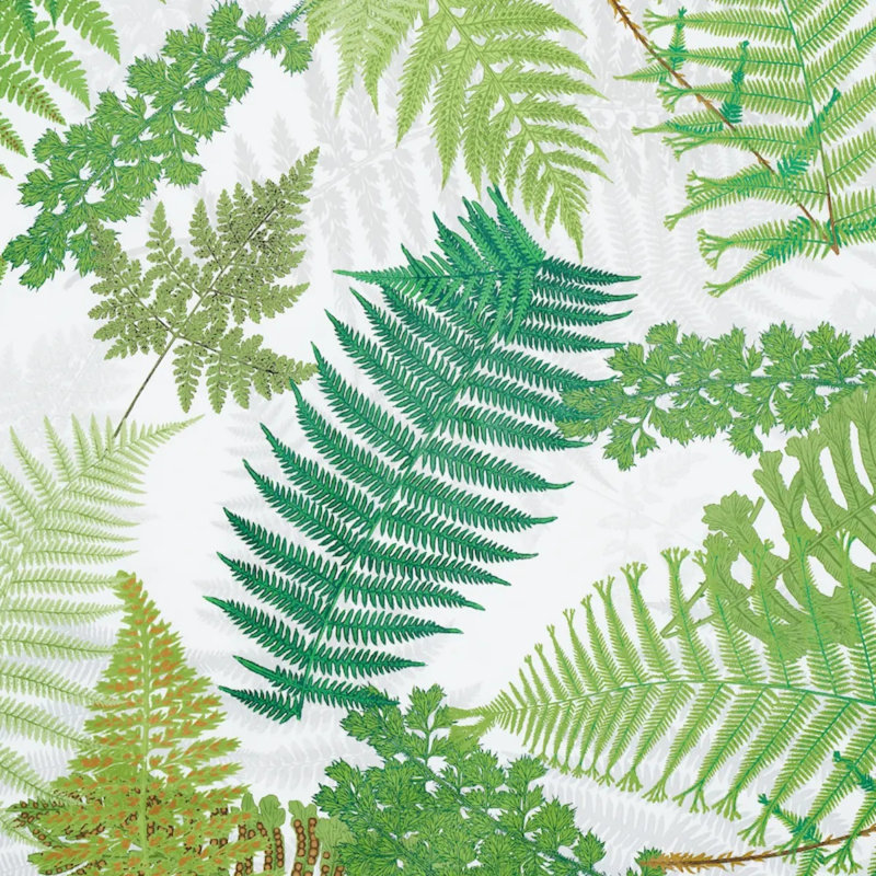 Tissu Schumacher x Clements Ribeiro Fernarium, Vert / ivoire