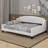 Full Size Modern Luxury Tufted Button Daybed-1555929312