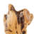 Araly Sculture