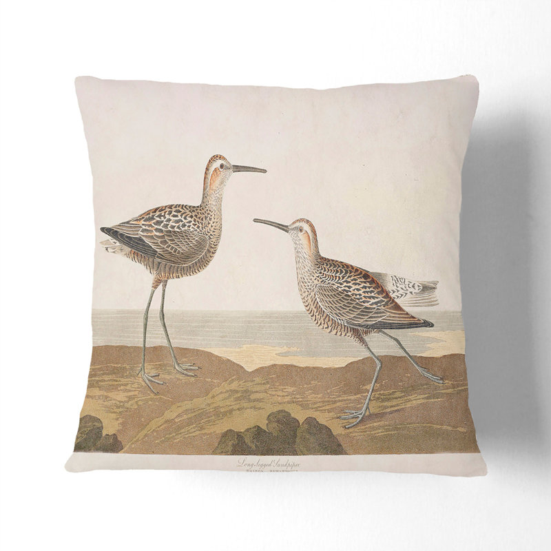 Sandpiper Birds by John James Audubon Cushion with Filling, 55cm H x 55cm W x 20cm D
