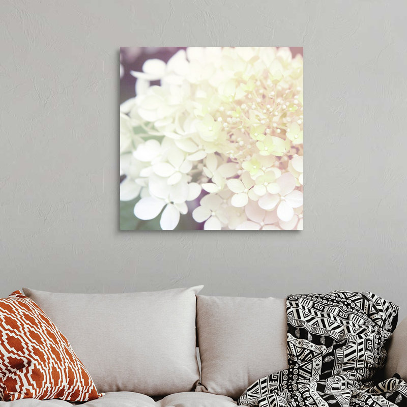 Hydrangea Dream II, art mural sur toile, Toile tendue, H 30 po x l 30 po x P 1,25 po