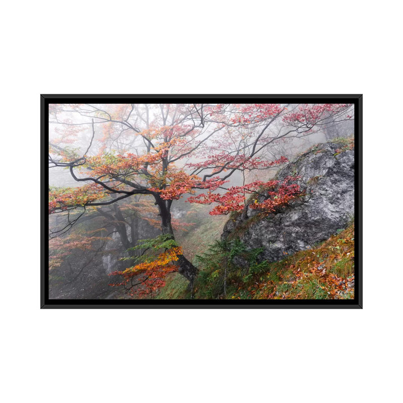 «Euphoria», reproduction de photo sur toile, H 18 po x l 26 po x P 1,5 po, Toile avec cadre flottant noir, Pas de tapis
