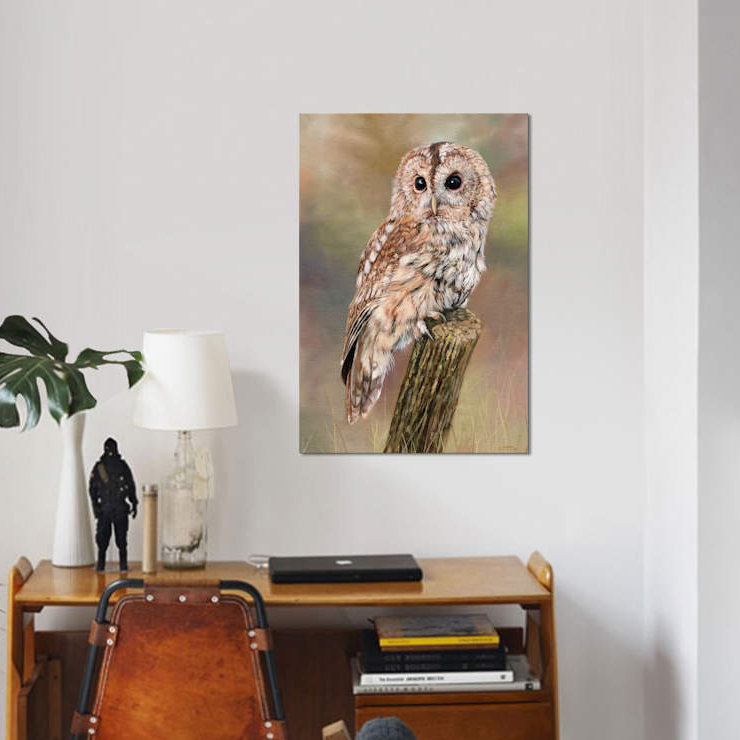 " Tawny Owl " by David Stribbling, 18" H x 12" W x 1.5" D, No Mat, Wrapped Canvas
