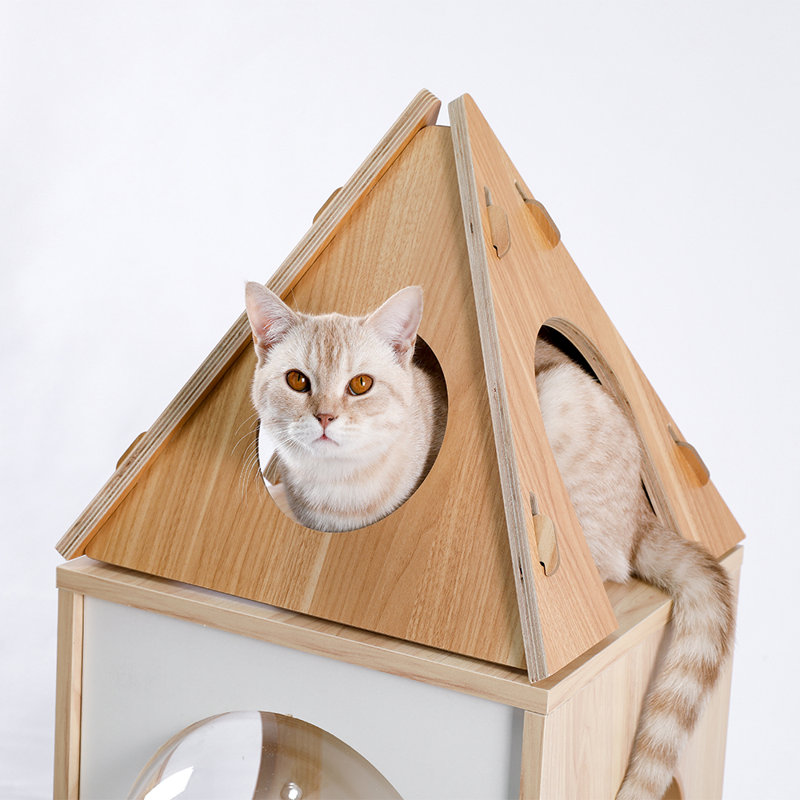 Altaira 54'' H Cat Tree