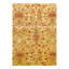 Oriental Area Rug in Beige