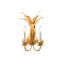 2 - Light Armed Sconce