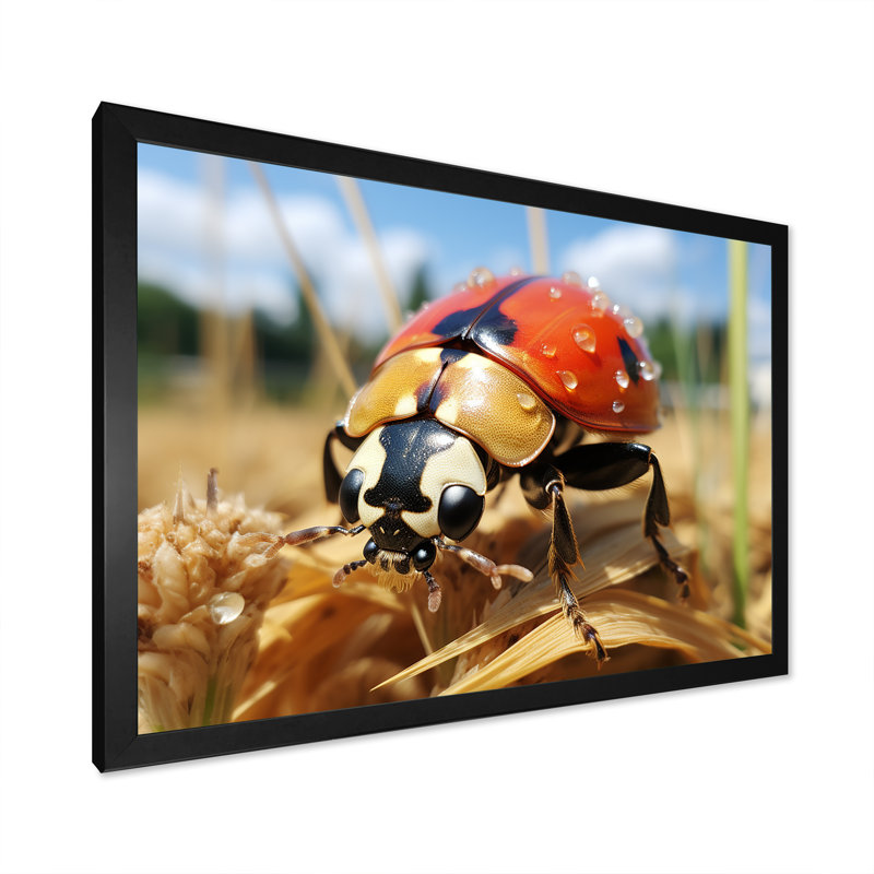 Curious Ladybug Meadows - art de coccinelle, Cadre d'angle fermé noir, H 16 po x l 32 po x P 1 po