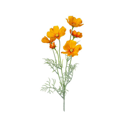 Audet Cornflower Stems