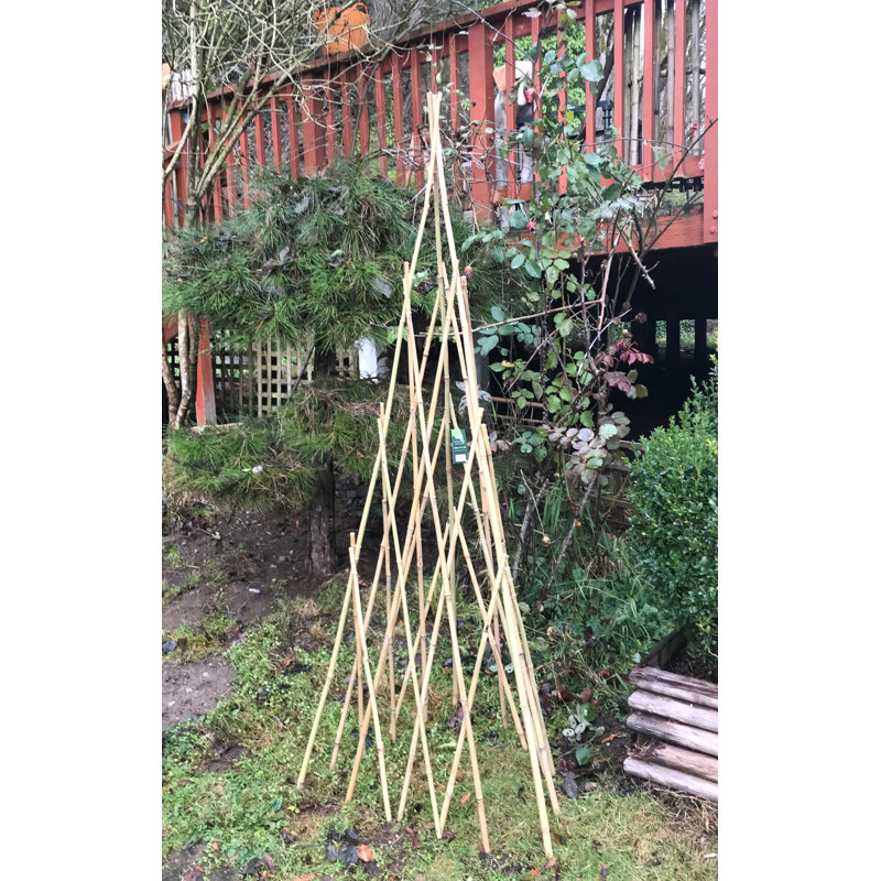 Wood Obelisk Trellis, 60" H x 16" W x 16" D