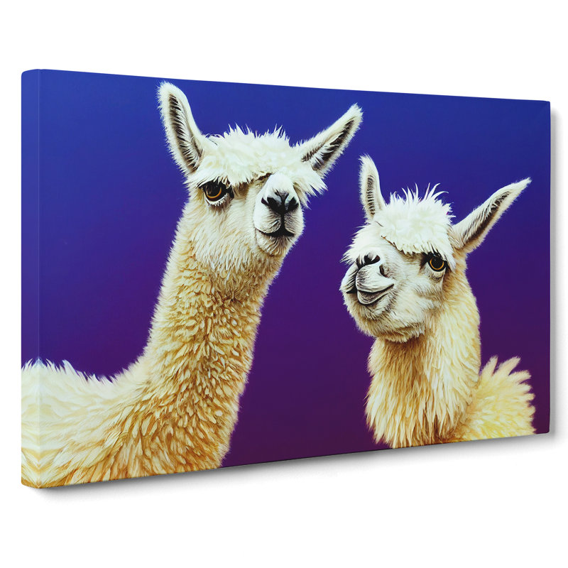 Thrilling Llamas - Wrapped Canvas, 35cm H x 50cm W x 3cm D