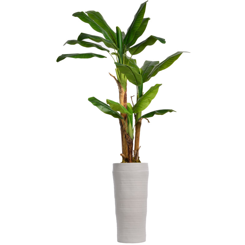 Bananier artificiel 60 po Panama