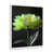 White Single Picture Framed, Solid Wood