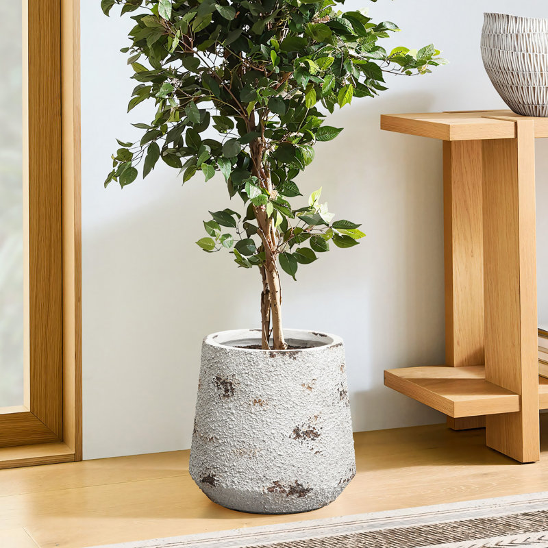 Grand pot à fleurs rond blanc rustique avec accents bruns 15,6 pouces, H 12,2 po x l 12 po x P 12 po