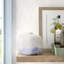 Mattelynn 6'' Ceramic Table Vase