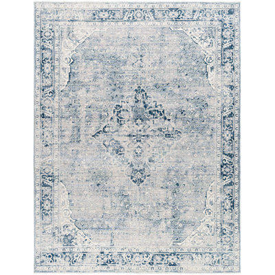 Nico Machine Woven Area Rug