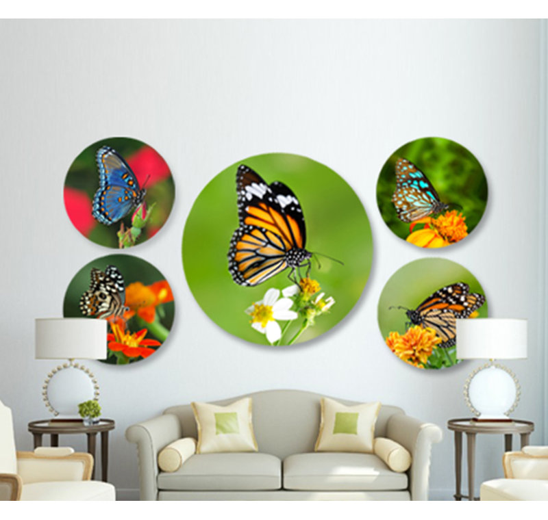 Beautiful Butterfly Print, 24" H x 24" W
