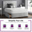 Gallego Upholstered Divan Bed-386540445-386540450-386542521