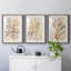 Parchment Coral I - ensemble de 3 reproductions de cadres photo-207375876-207375875