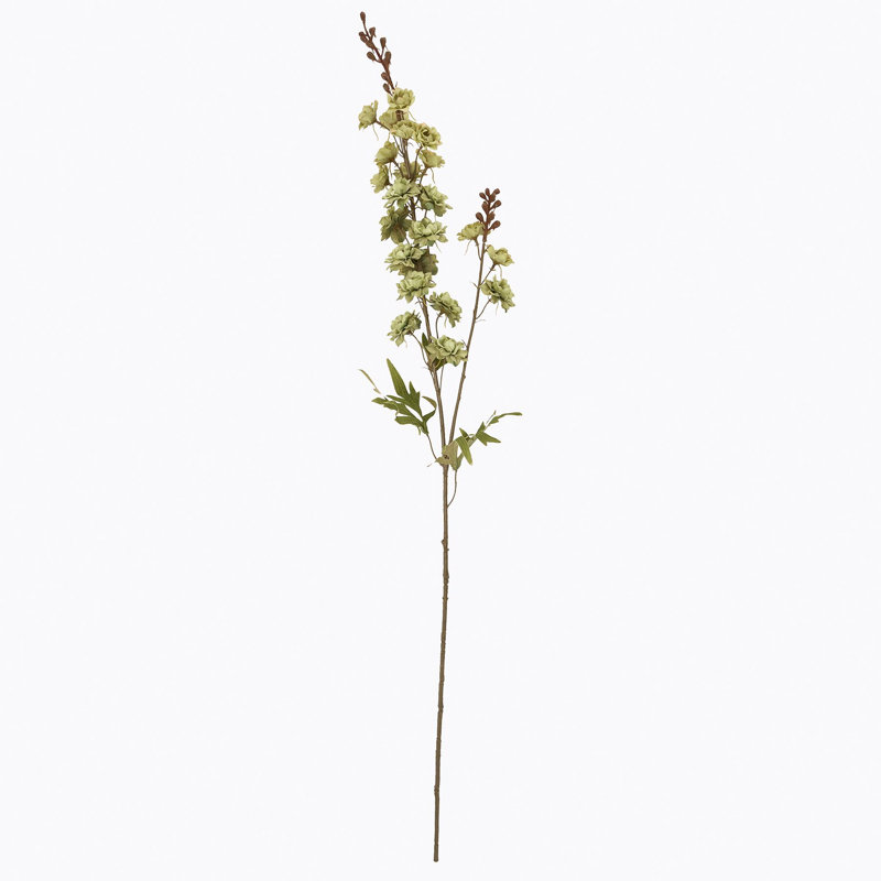 Anastasija Arrangement