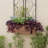 Norela Metal Window Box Planter-1699741362