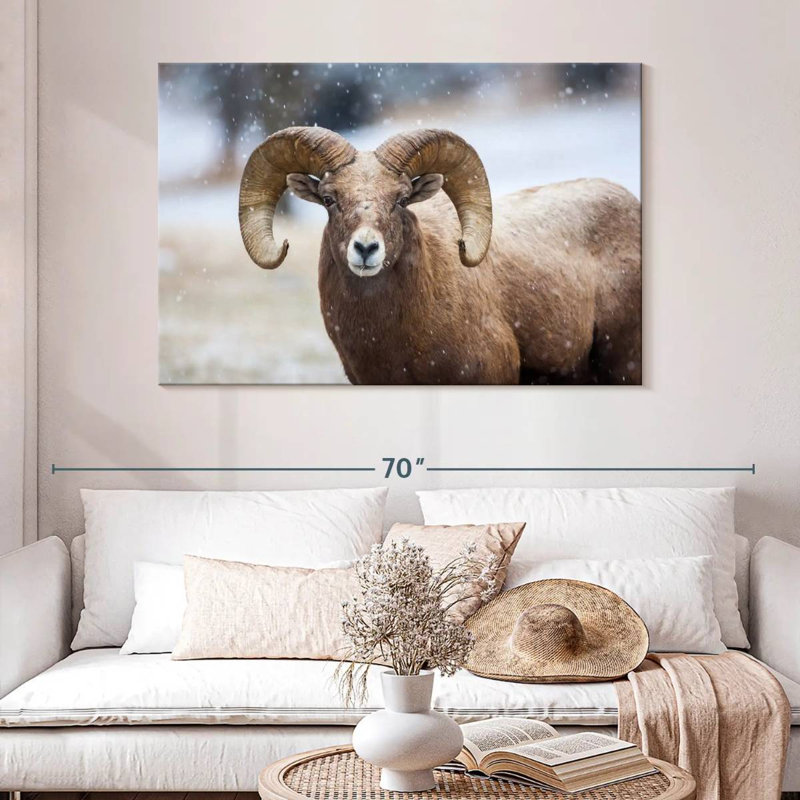 Brampt Bighorn Sheep, H 32 po x l 48 po