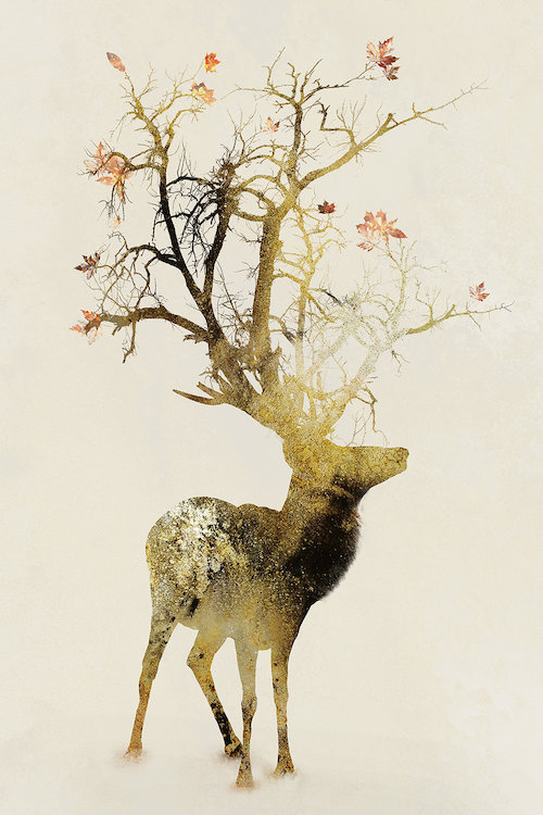 Automne, impression sur toile tendue, H 40 po x l 26 po x p 1,5 po