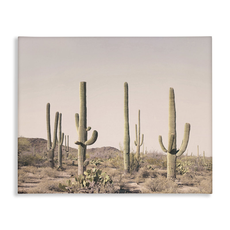 Art mural sur toile Blush Cactus Field par Sissi et Seb, H 36 po x l 48 po