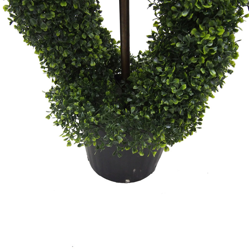 Topiaire en buis vert 5 pi Vickerman, H 60 po x l 12 po x P 16 po