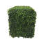 Haie de buis artificielle verte