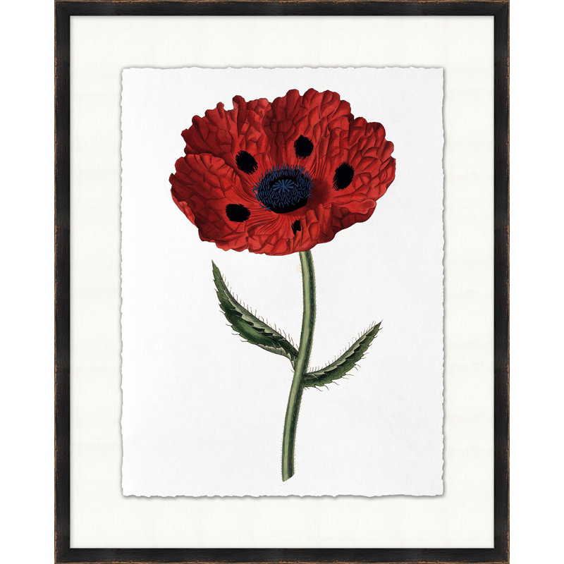 Red Flower 6 Print