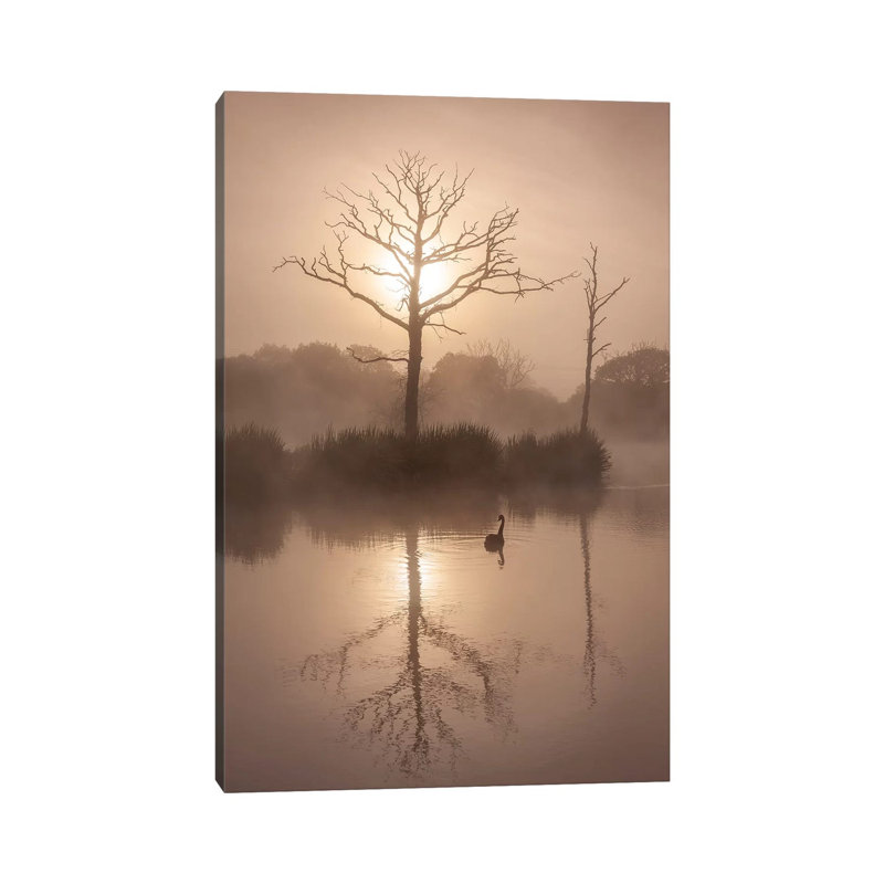 Morning Stillness by Adam Burton - Wrapped Canvas Print, 30.48 cm H x 45.72 cm W