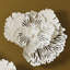 Flower Wall Décor-2034042650