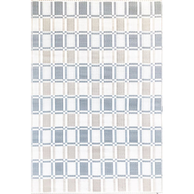 Plaid Indoor / Outdoor Rug