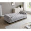 Canapé-lit avec rangement et poche latérale, port de chargement USB, fauteuil inclinable en futon pliant en velours cygne pour les petits espaces