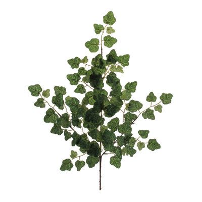 Ivy Foliage Spray