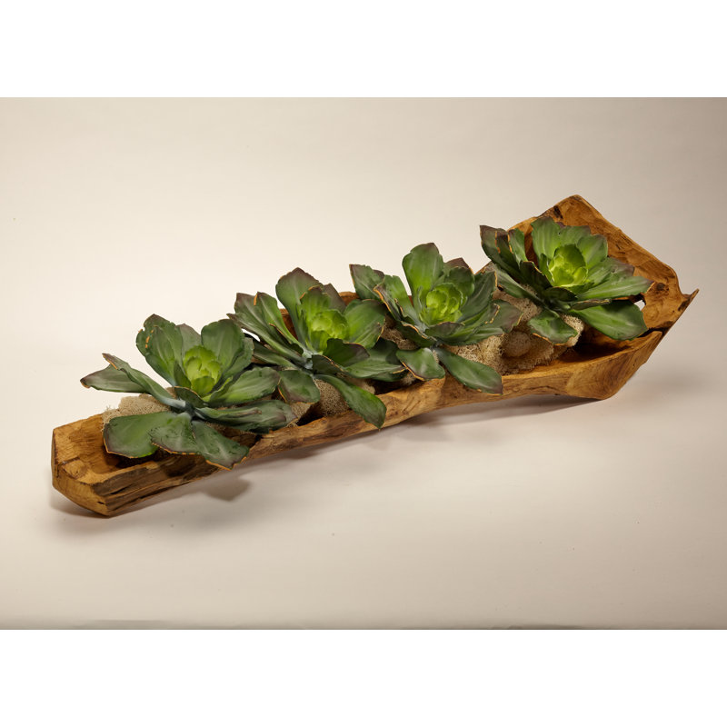 Echeveria in Hand Wood Carved Log
